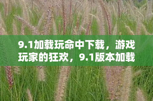 9.1加载玩命中下载，游戏玩家的狂欢，9.1版本加载玩命中