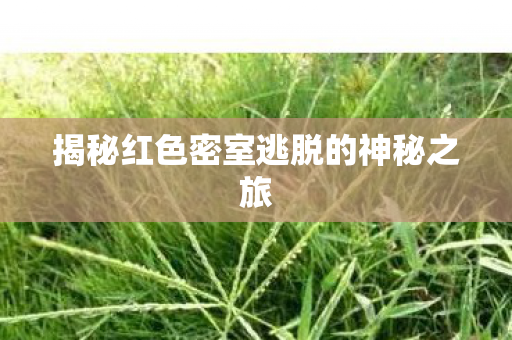 揭秘红色密室逃脱的神秘之旅