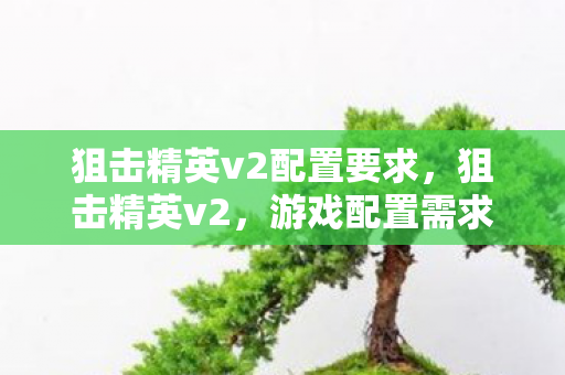 狙击精英v2配置要求，狙击精英v2，游戏配置需求详解