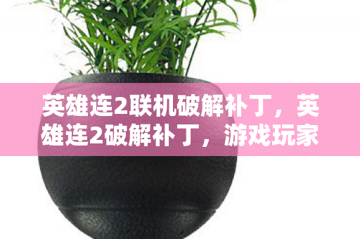 英雄连2联机破解补丁，英雄连2破解补丁，游戏玩家的福音