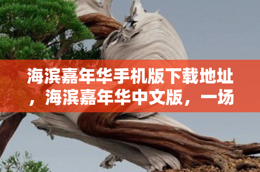 海滨嘉年华手机版下载地址，海滨嘉年华中文版，一场狂欢盛宴的全方位体验