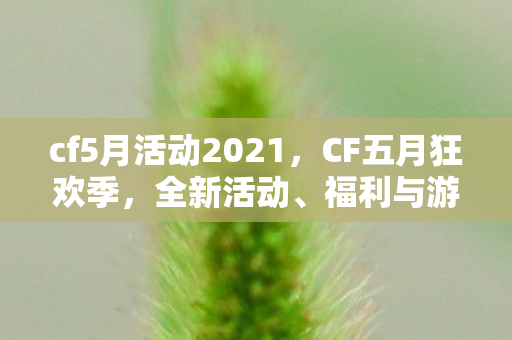 cf5月活动2021，CF五月狂欢季，全新活动、福利与游戏内容一网打尽！