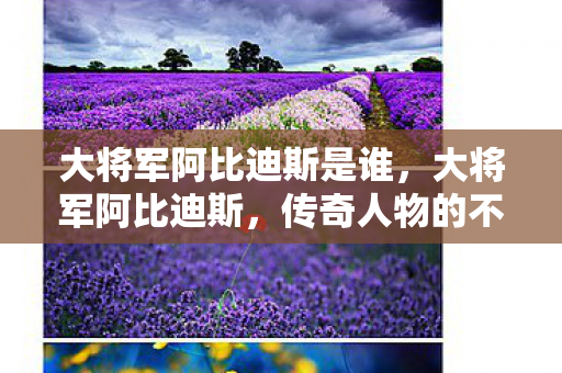 大将军阿比迪斯是谁，大将军阿比迪斯，传奇人物的不朽荣耀