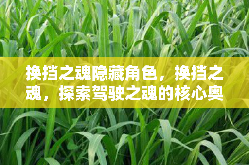 换挡之魂隐藏角色，换挡之魂，探索驾驶之魂的核心奥秘