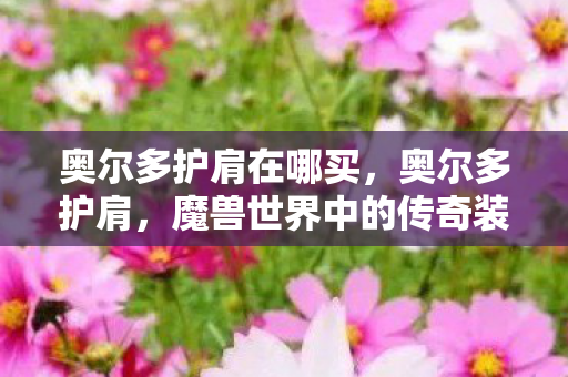 奥尔多护肩在哪买，奥尔多护肩，魔兽世界中的传奇装备