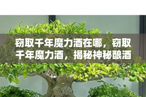 窃取千年魔力酒在哪，窃取千年魔力酒，揭秘神秘酿酒术的传说与真相