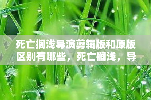 死亡搁浅导演剪辑版和原版区别有哪些，死亡搁浅，导演剪辑版与原版深度对比