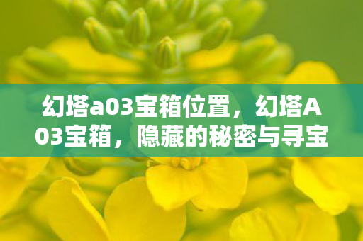 幻塔a03宝箱位置，幻塔A03宝箱，隐藏的秘密与寻宝攻略