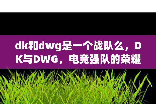 dk和dwg是一个战队么，DK与DWG，电竞强队的荣耀对决