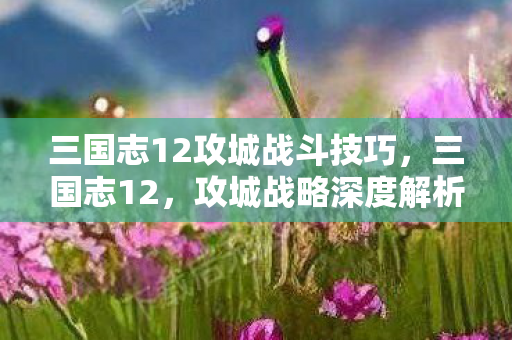 三国志12攻城战斗技巧，三国志12，攻城战略深度解析