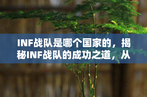 INF战队是哪个国家的，揭秘INF战队的成功之道，从默默无闻到行业翘楚的崛起之路