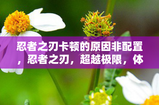 忍者之刃卡顿的原因非配置，忍者之刃，超越极限，体验忍者的荣耀