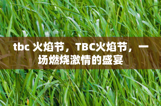 tbc 火焰节，TBC火焰节，一场燃烧激情的盛宴