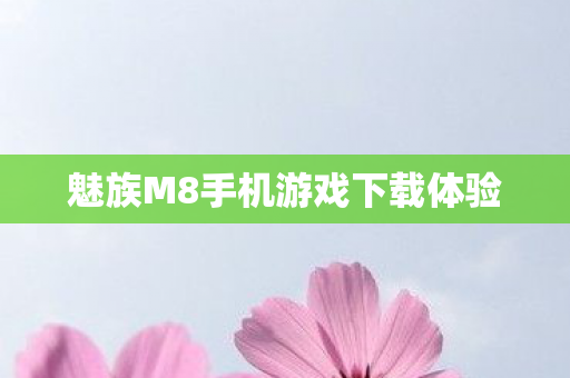 魅族M8手机游戏下载体验