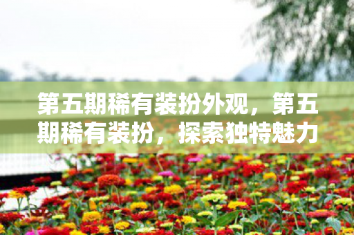 第五期稀有装扮外观，第五期稀有装扮，探索独特魅力的时尚新纪元