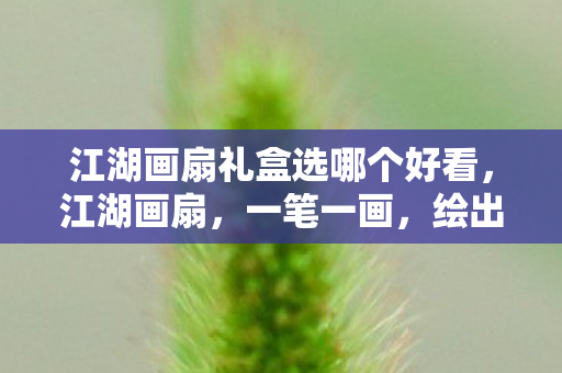 江湖画扇礼盒选哪个好看，江湖画扇，一笔一画，绘出世间百态