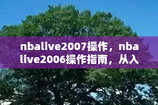 nbalive2007操作，nbalive2006操作指南，从入门到精通