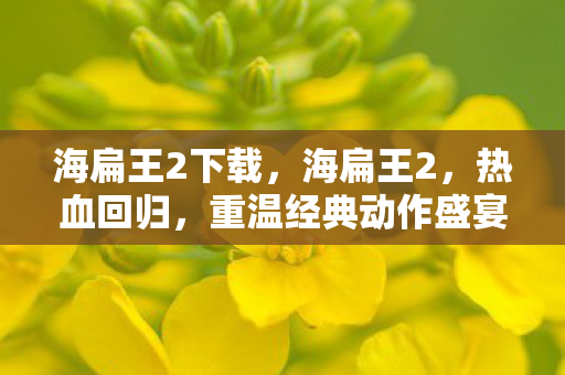海扁王2下载，海扁王2，热血回归，重温经典动作盛宴！