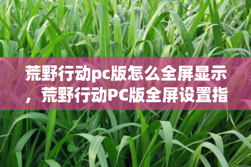 荒野行动pc版怎么全屏显示，荒野行动PC版全屏设置指南