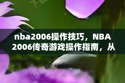 nba2006操作技巧，NBA 2006传奇游戏操作指南，从新手到高手的全面解析