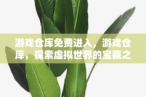 游戏仓库免费进入，游戏仓库，探索虚拟世界的宝藏之地