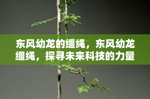 东风幼龙的缰绳，东风幼龙缰绳，探寻未来科技的力量与智慧
