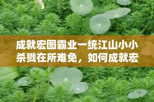 成就宏图霸业一统江山小小杀戮在所难免，如何成就宏伟人生，探索成功的秘诀