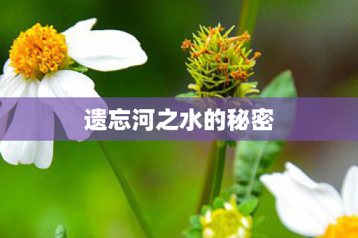 遗忘河之水的秘密