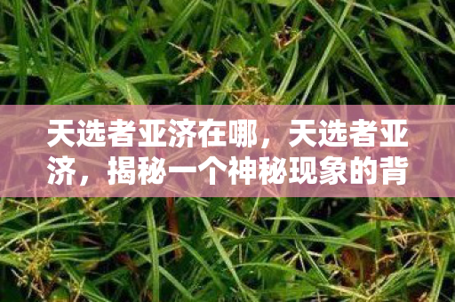 天选者亚济在哪，天选者亚济，揭秘一个神秘现象的背后真相