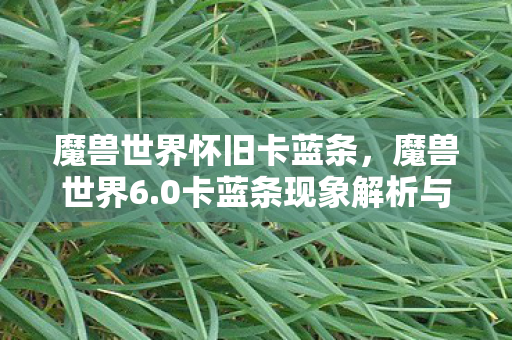 魔兽世界怀旧卡蓝条，魔兽世界6.0卡蓝条现象解析与应对方案