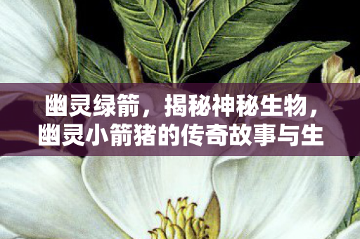 幽灵绿箭，揭秘神秘生物，幽灵小箭猪的传奇故事与生存现状