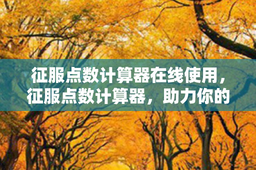 征服点数计算器在线使用，征服点数计算器，助力你的游戏之旅