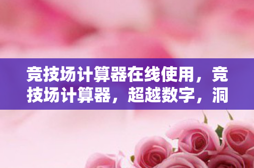 竞技场计算器在线使用，竞技场计算器，超越数字，洞悉竞技策略之魂