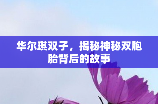 华尔琪双子，揭秘神秘双胞胎背后的故事