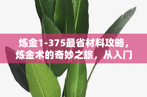 炼金1-375最省材料攻略，炼金术的奇妙之旅，从入门到精通（1-375级）