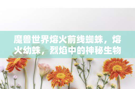 魔兽世界熔火前线蜘蛛，熔火幼蛛，烈焰中的神秘生物揭秘