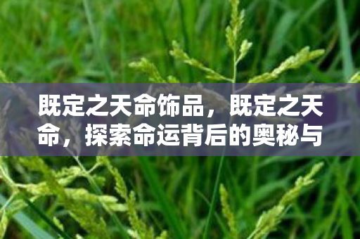 既定之天命饰品，既定之天命，探索命运背后的奥秘与力量