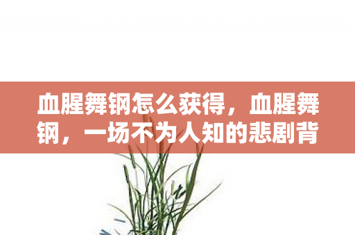 血腥舞钢怎么获得，血腥舞钢，一场不为人知的悲剧背后的真相探寻