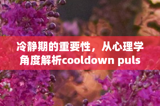 冷静期的重要性，从心理学角度解析cooldown pulse的价值