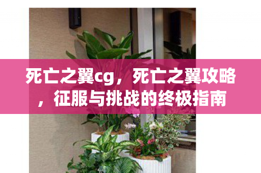 死亡之翼cg，死亡之翼攻略，征服与挑战的终极指南