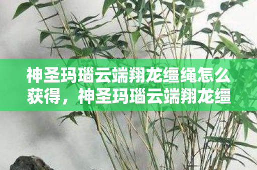 神圣玛瑙云端翔龙缰绳怎么获得，神圣玛瑙云端翔龙缰绳，探寻神秘力量的奇幻之旅