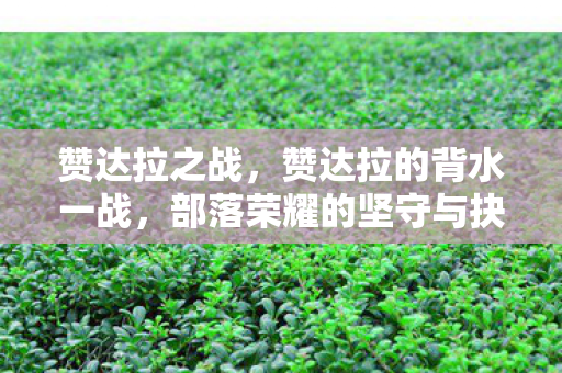 赞达拉之战，赞达拉的背水一战，部落荣耀的坚守与抉择