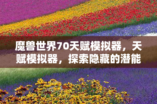 魔兽世界70天赋模拟器，天赋模拟器，探索隐藏的潜能，解锁无限可能性的神秘工具