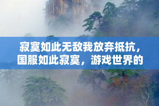 寂寞如此无敌我放弃抵抗，国服如此寂寞，游戏世界的孤独与挣扎