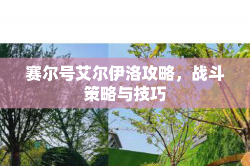 赛尔号艾尔伊洛攻略，战斗策略与技巧