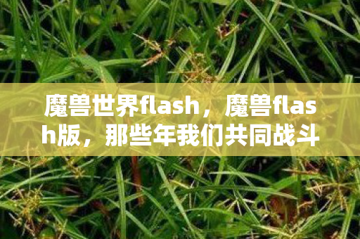 魔兽世界flash，魔兽flash版，那些年我们共同战斗的时光