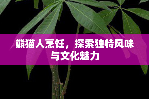 熊猫人烹饪，探索独特风味与文化魅力