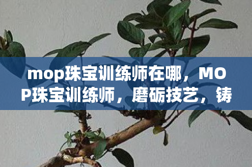mop珠宝训练师在哪，MOP珠宝训练师，磨砺技艺，铸就璀璨