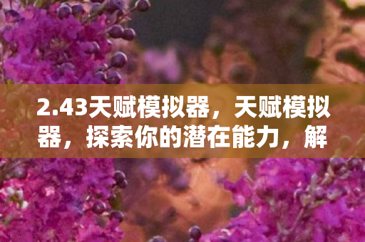 2.43天赋模拟器，天赋模拟器，探索你的潜在能力，解锁无限可能