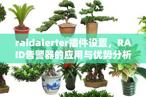 raidalerter插件设置，RAID告警器的应用与优势分析